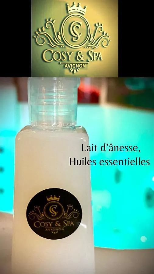 Cosy & Spa Appartement Luxe Jacuzzi Sauna Suite Cristal Avignon France